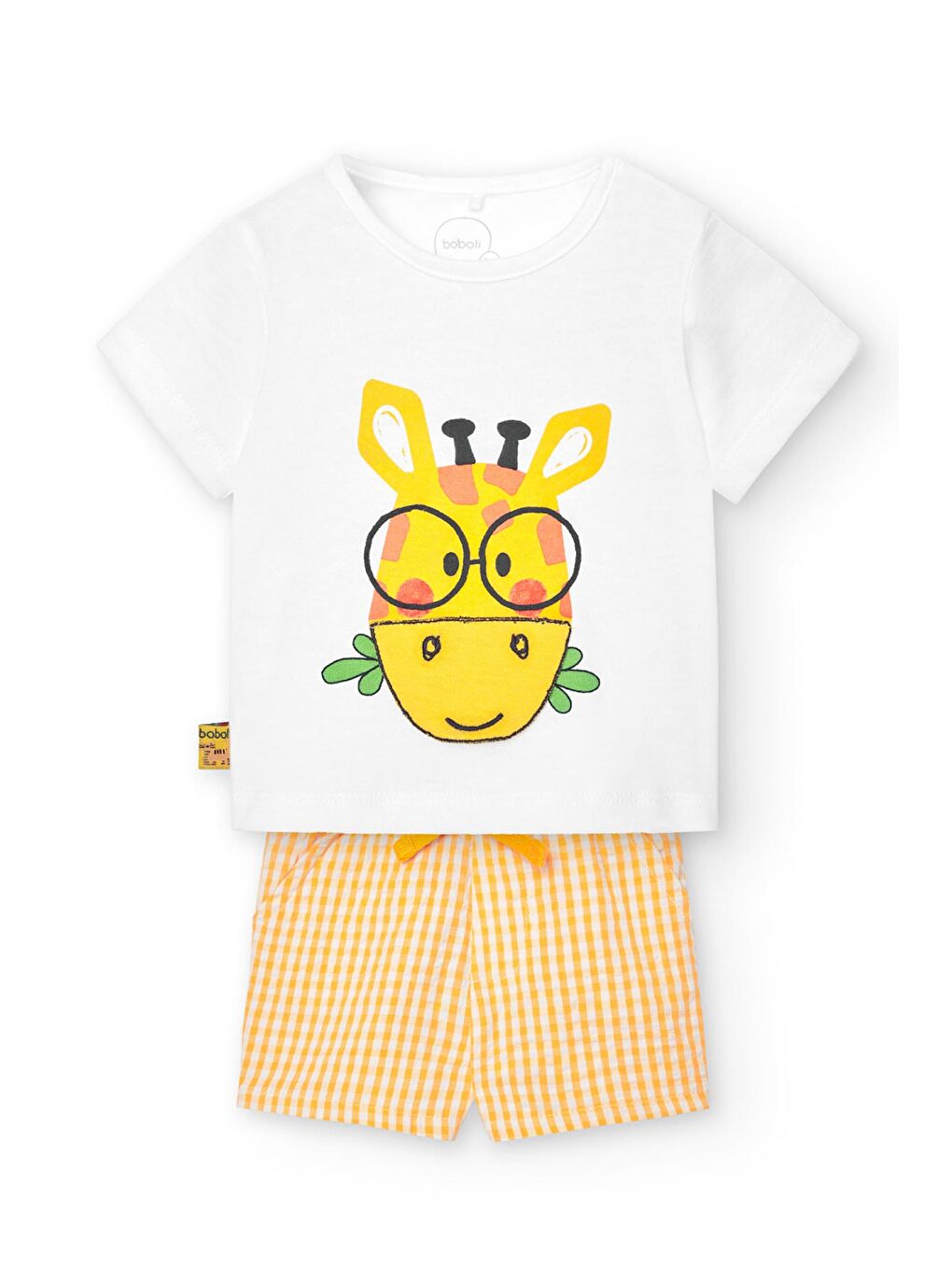 Karışık Erkek Bebek 2li Set