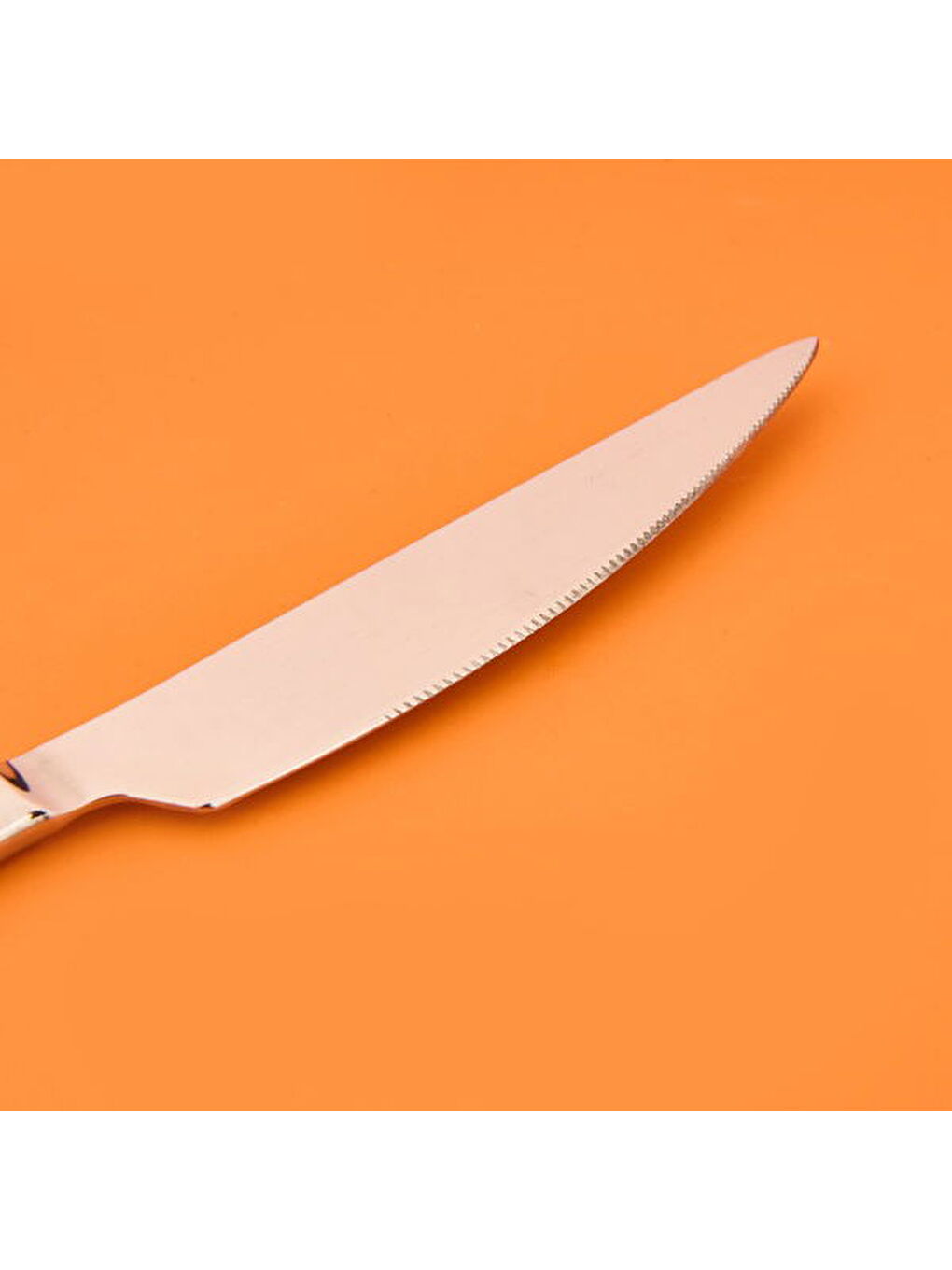 6'lı Yemek Bıçağı - Gri-2