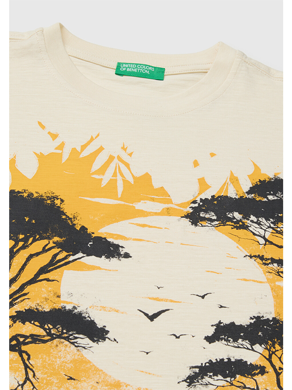 Ekru Erkek Çocuk Krem Önü Baskı Detaylı Bisiklet Yaka T-Shirt-2