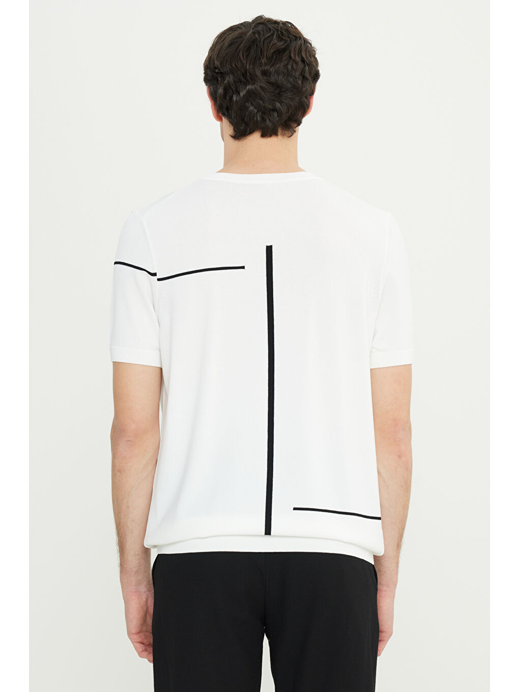 Erkek Ekru Standart Fit Normal Kesim Bisiklet Yaka Jakarlı Triko Tişört-4