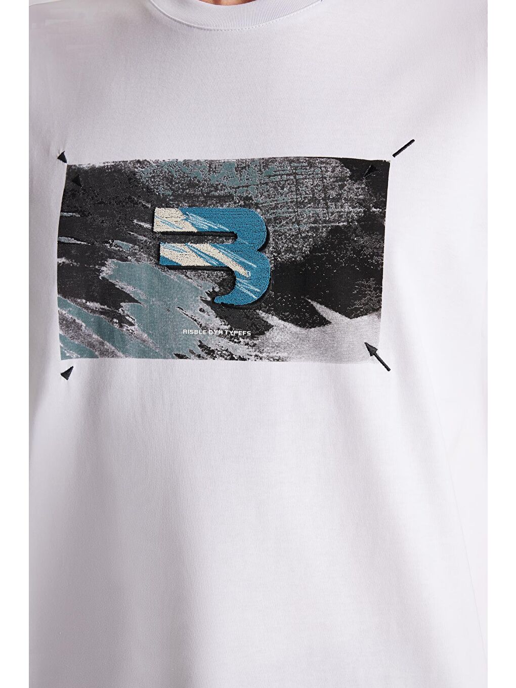 Relax Fit Rahat Kesim Pamuklu Ön Baskı Ve Nakış Detaylı Bisiklet Yaka Ekru Erkek Tişört-3