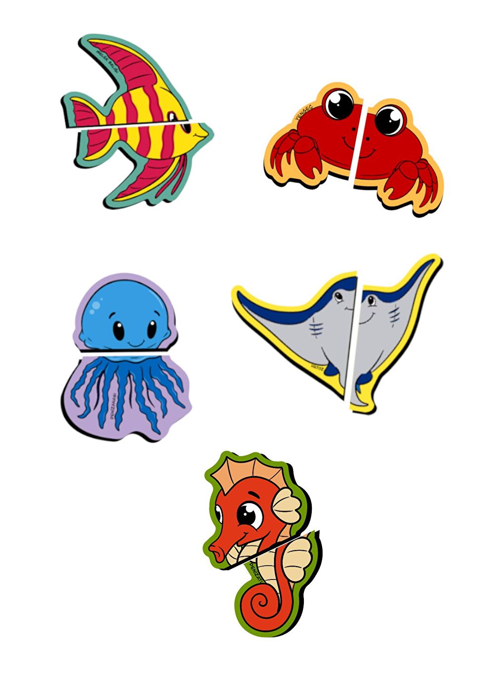 Mıknatıslı Yapboz Su Altı Hayvanları-1