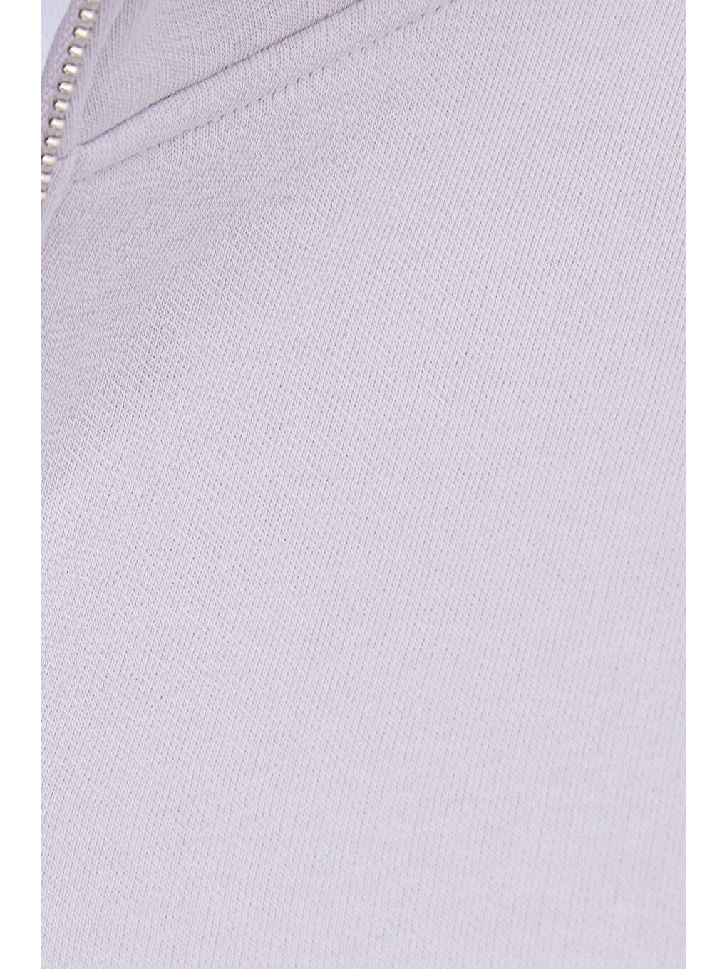 Unisex Relax Fit Rahat Kesim Pamuklu İçi Polarlı Yarım Fermuarlı Lila Dik Yaka Sweatshirt-5