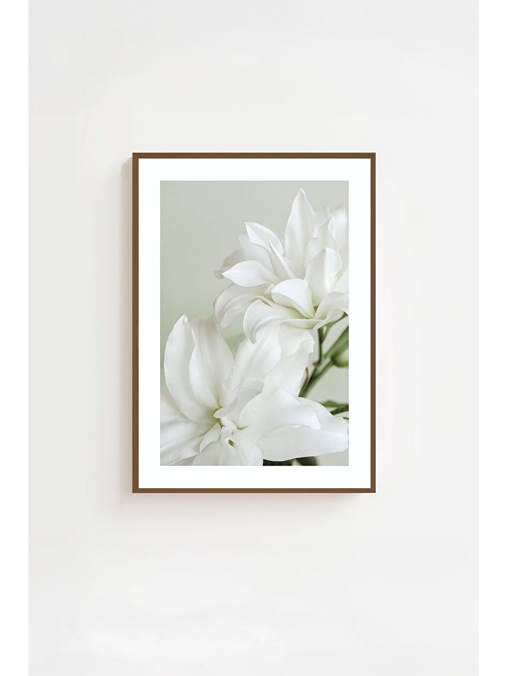 Beyaz Tek Parça Kahverengi Gerçek Ahşap Çerçeveli Tablo Seti 20x30 cm - Model 36-1