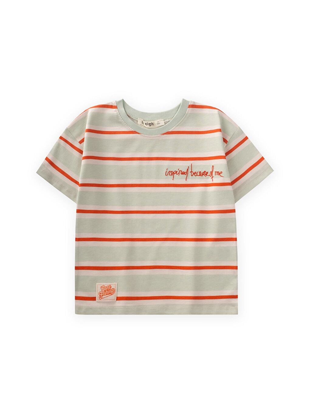 Yeşil Erkek Çocuk Nakışlı Çizgili Tişört