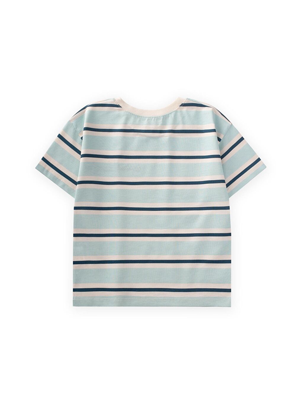 Turkuaz Erkek Çocuk Nakışlı Çizgili Tişört-1