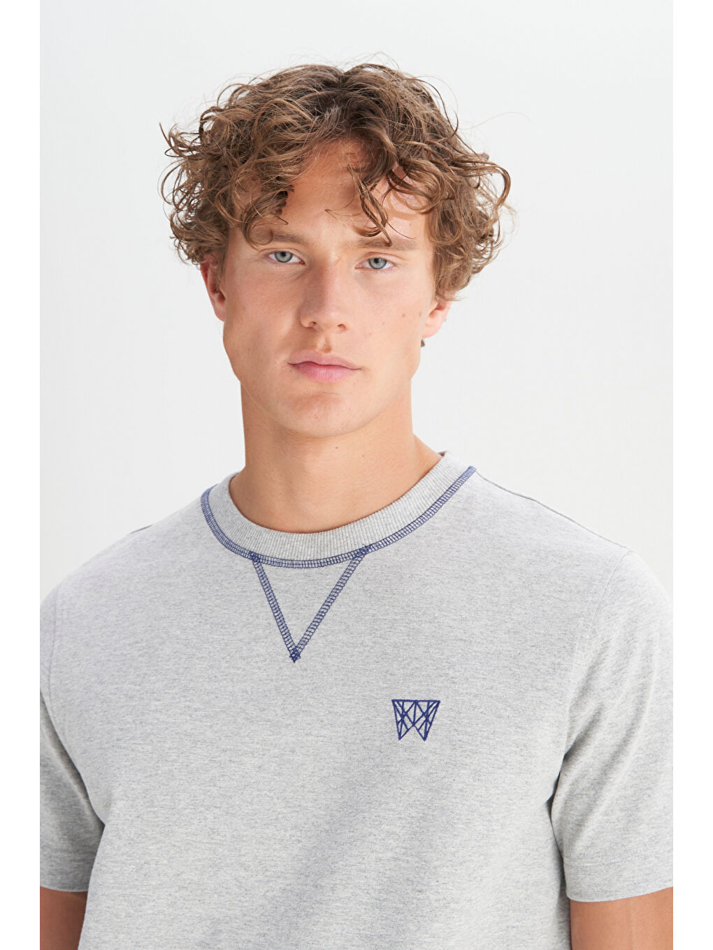 Gri %100 Pamuk Regular Fit Normal Kesim Bisiklet Yaka Logo Detaylı Tişört-3