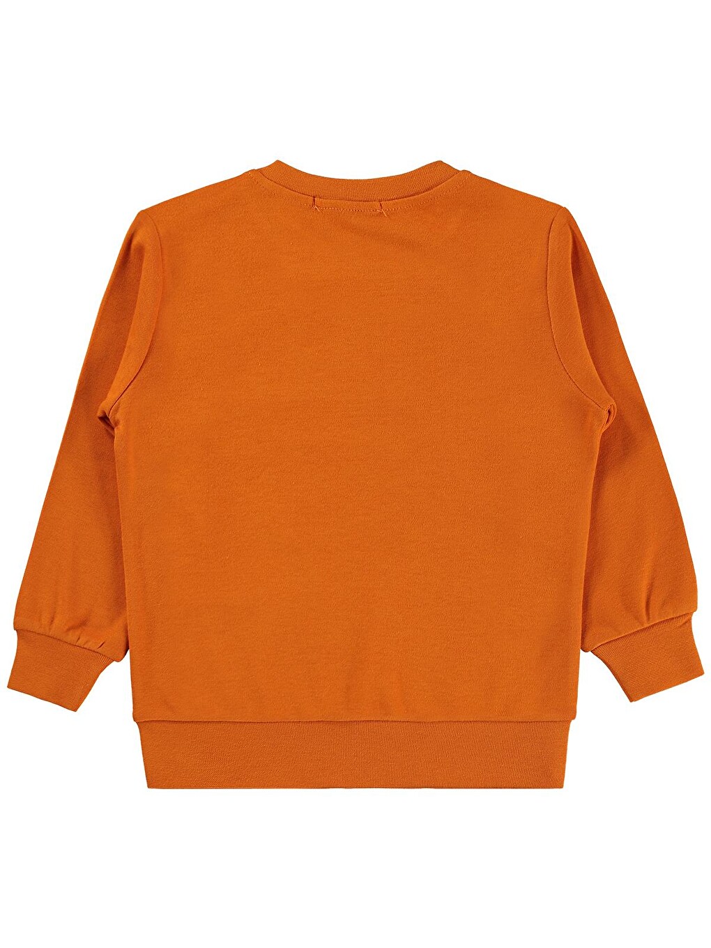 Boys Erkek Çocuk Great Baskılı 2-5 Yaş Sweatshirt - Turuncu-1