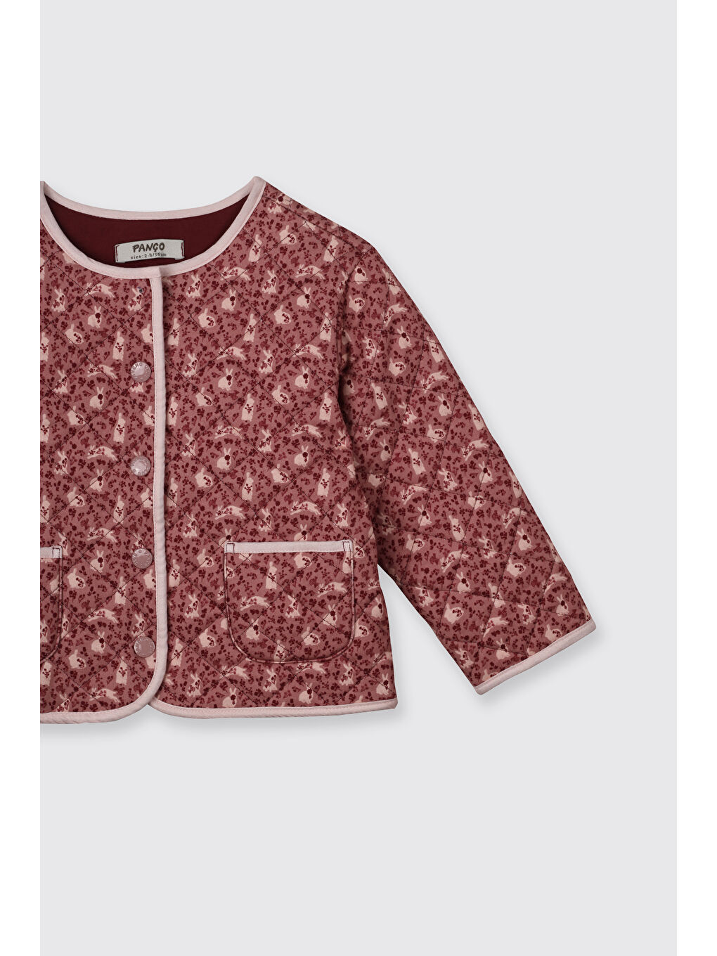 Pembe Kız Bebek Kapitone Gül Kurusu Ceket-1