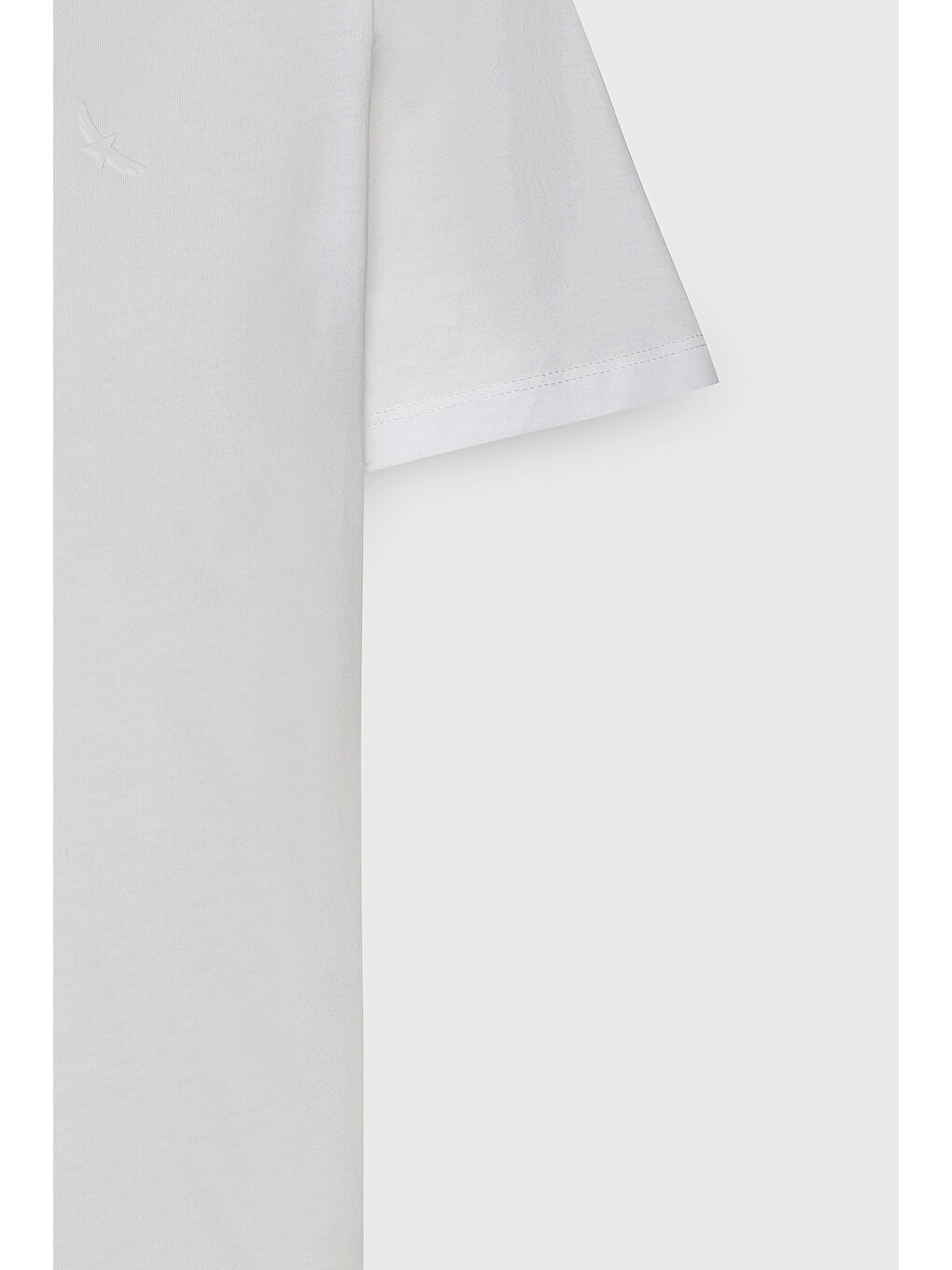 Erkek Beyaz Slim Fit Dar Kesim Bisiklet Yaka Pamuklu Tişört-7