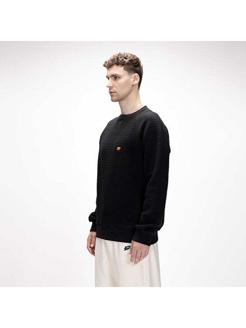 Diez Erkek Siyah Sweatshirt