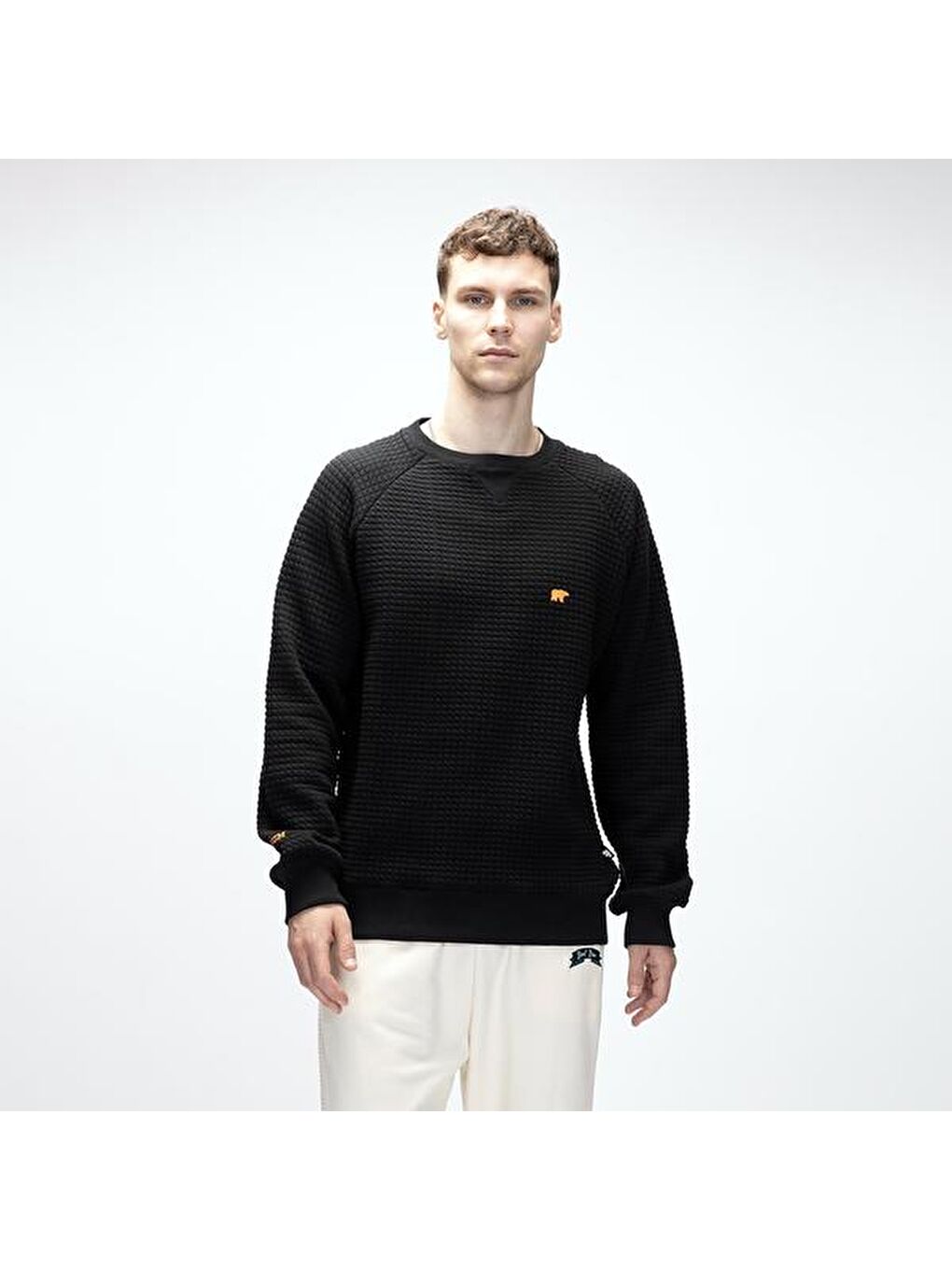 Diez Erkek Siyah Sweatshirt-4