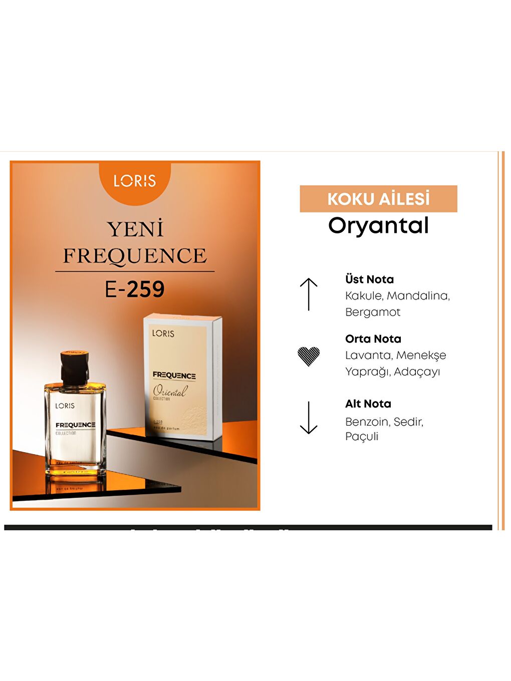 E-259 Frequence Erkek EDP Parfüm 50 ML-1