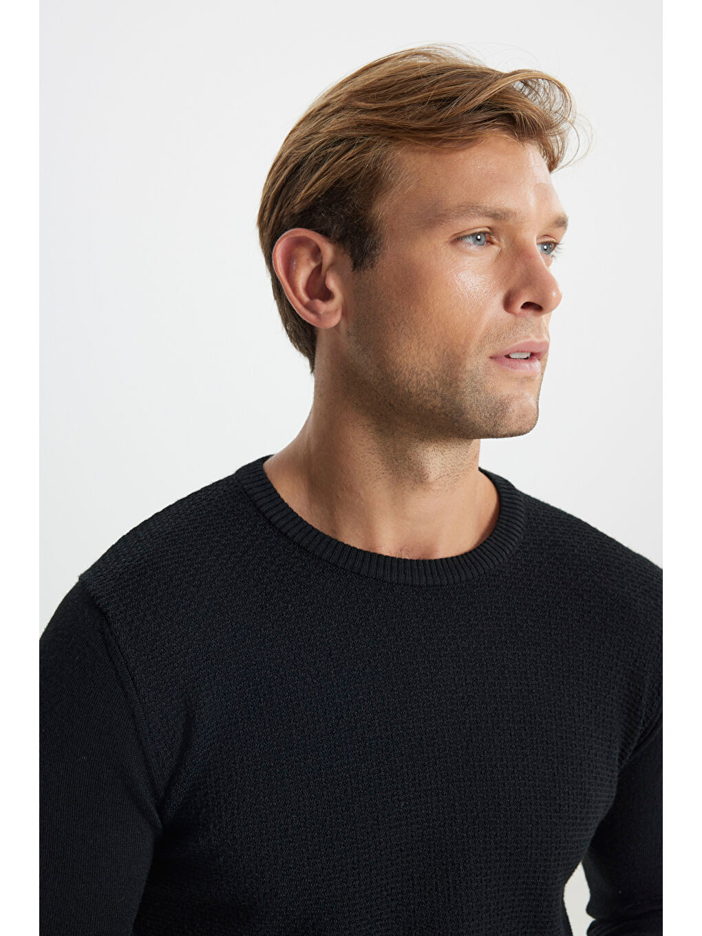 Erkek Siyah Pamuklu Standart Fit Normal Kesim Bisiklet Yaka Jakarlı Triko Kazak-5