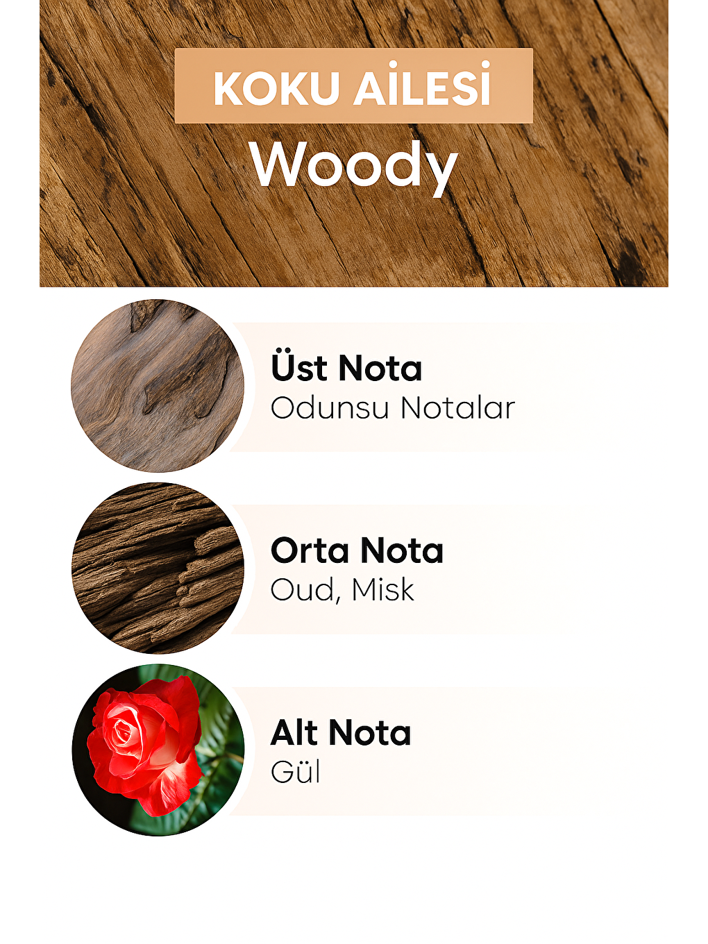 E-232 Seçili Frequence Erkek Parfüm EDP 50 ML-4