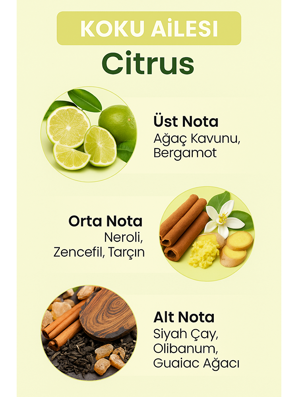 E-241 Frequence Erkek EDP Parfüm 50 ML-1