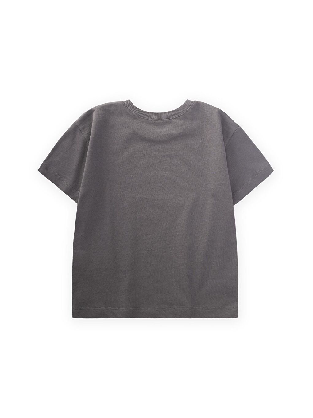 Punto Araba Nakışlı T-Shırt 2-10 Yaş Gri-1