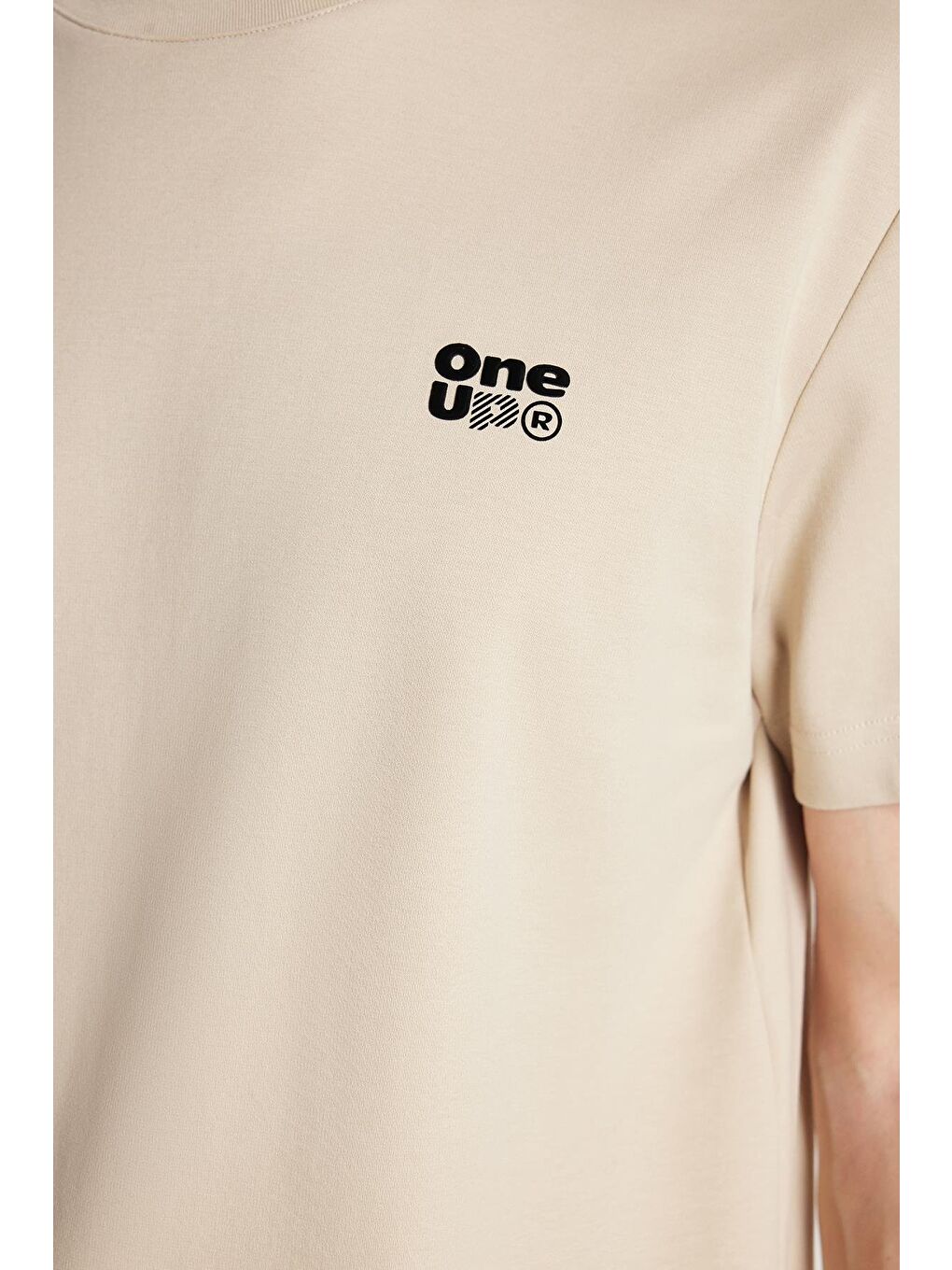 Relax Fit Rahat Kesim Pamuklu Ön Ve Arka Baskı Ve Nakış Detaylı Bisiklet Yaka Bej Erkek Tişört-3