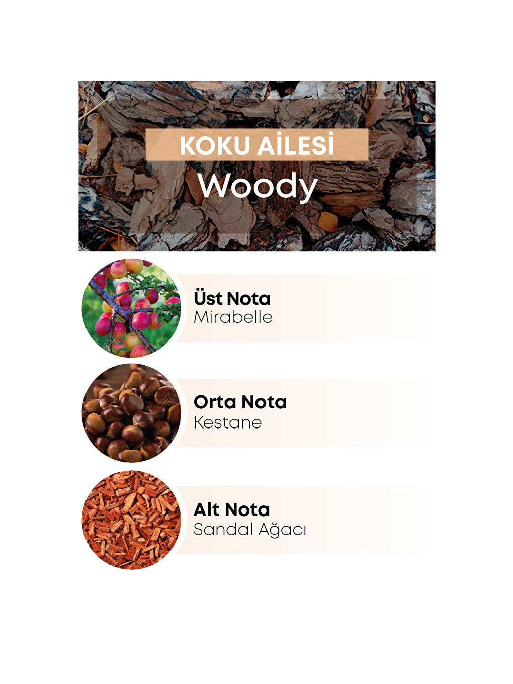 E-250 Frequence Erkek Parfüm EDP 50 ML-1