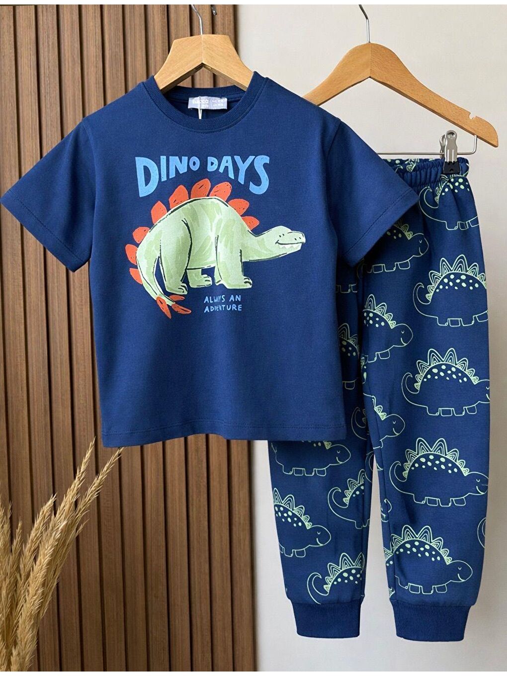 Karışık Erkek Çocuk Pamuklu Lacivert Dinozor Baskılı T-Shirt Ve Eşofman Altı 2'Li Takım-2