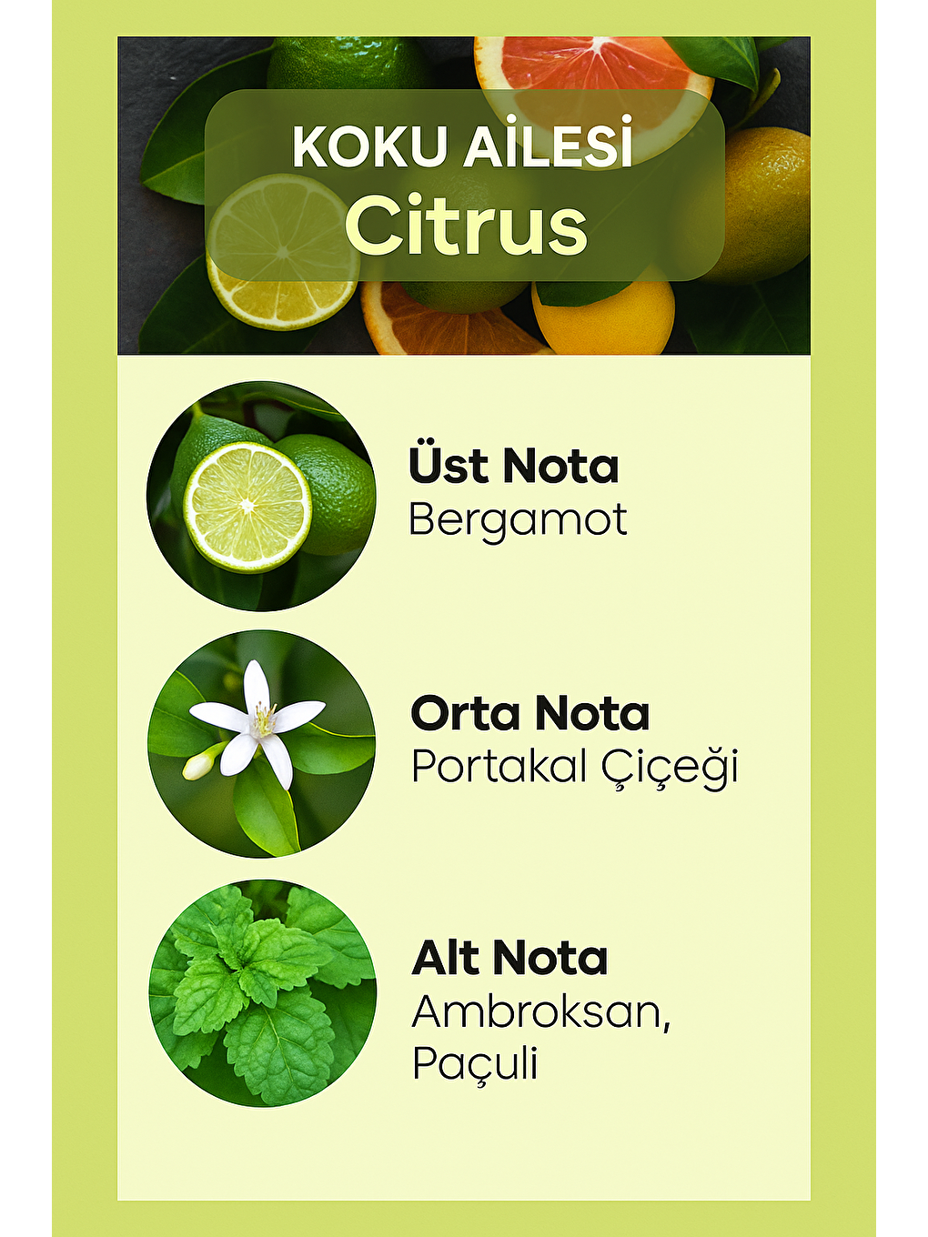 E-247 Frequence Erkek Parfüm EDP 50 ML-6