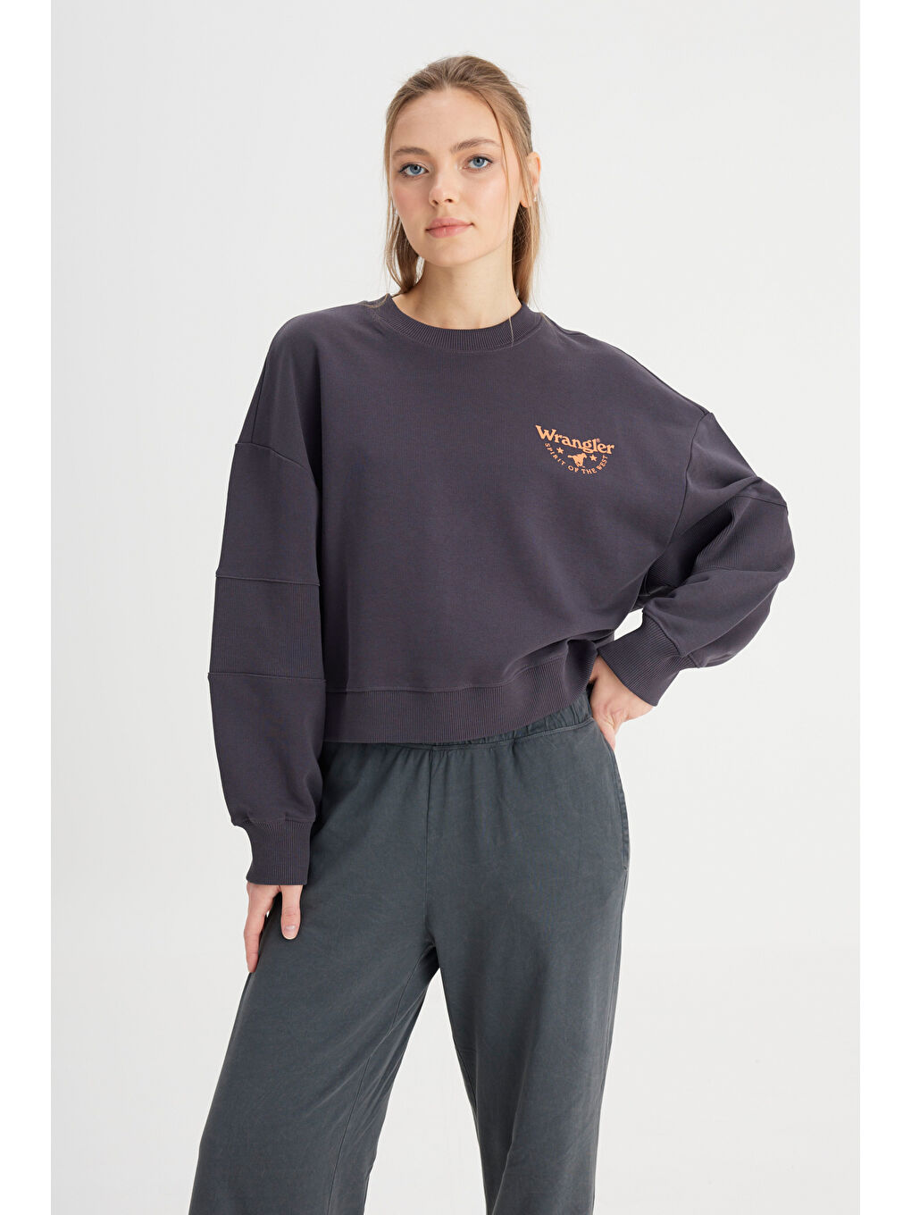 Antrasit Relaxed Fit Geniş Kesim Bisiklet Yaka %100 Pamuk Siyah Sweatshirt-2