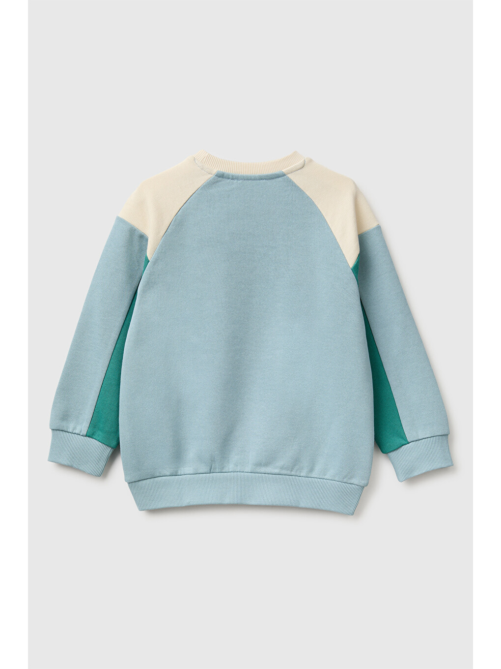 Erkek Bebek Mavi Mix Önü İşlemeli Ribanalı Renk Bloklu Bisiklet Yaka Sweatshirt-1
