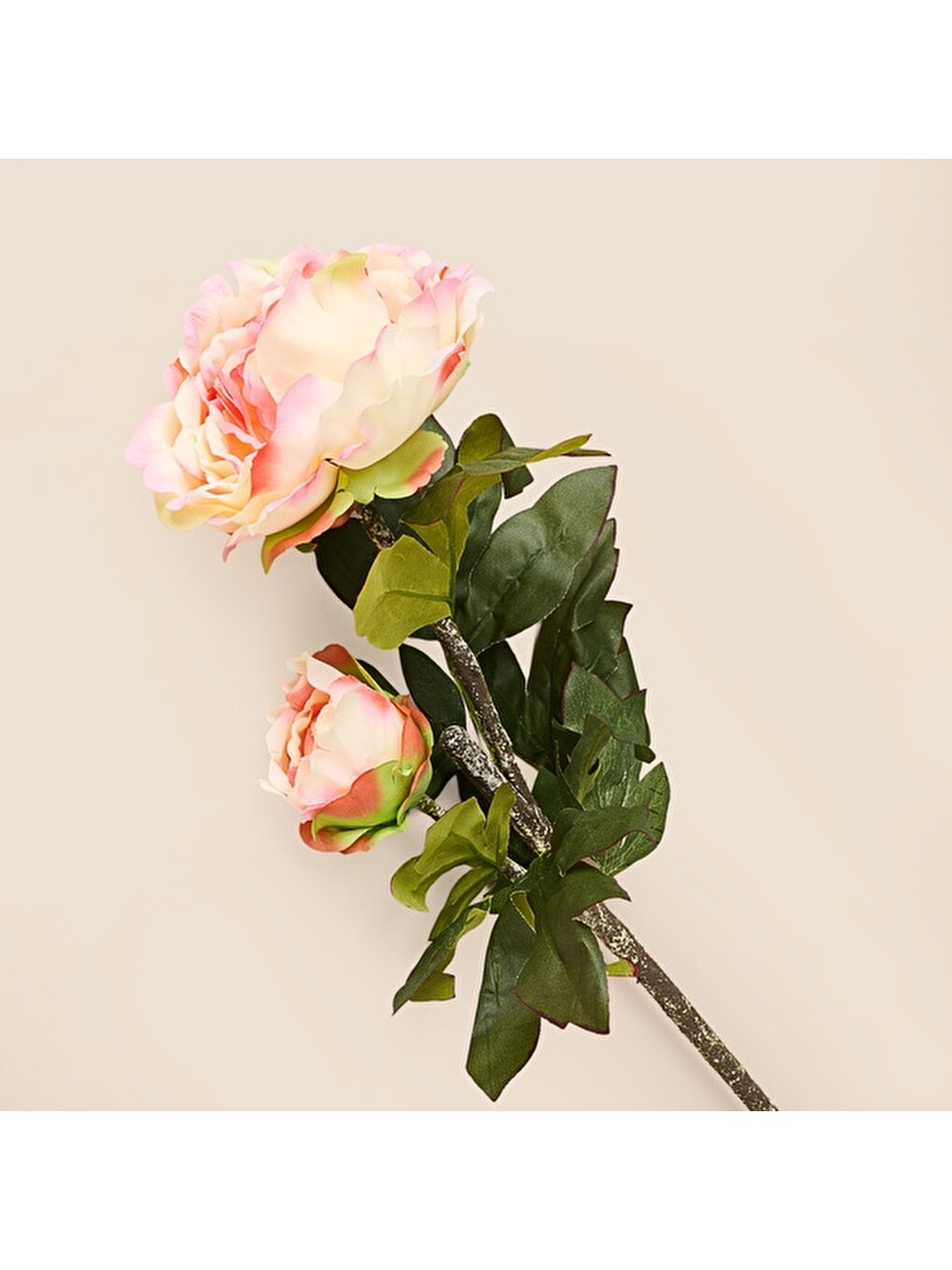 Karışık Deco İngiliz Gülü Yapay Dal Çiçek - Renkli - 73 cm-2