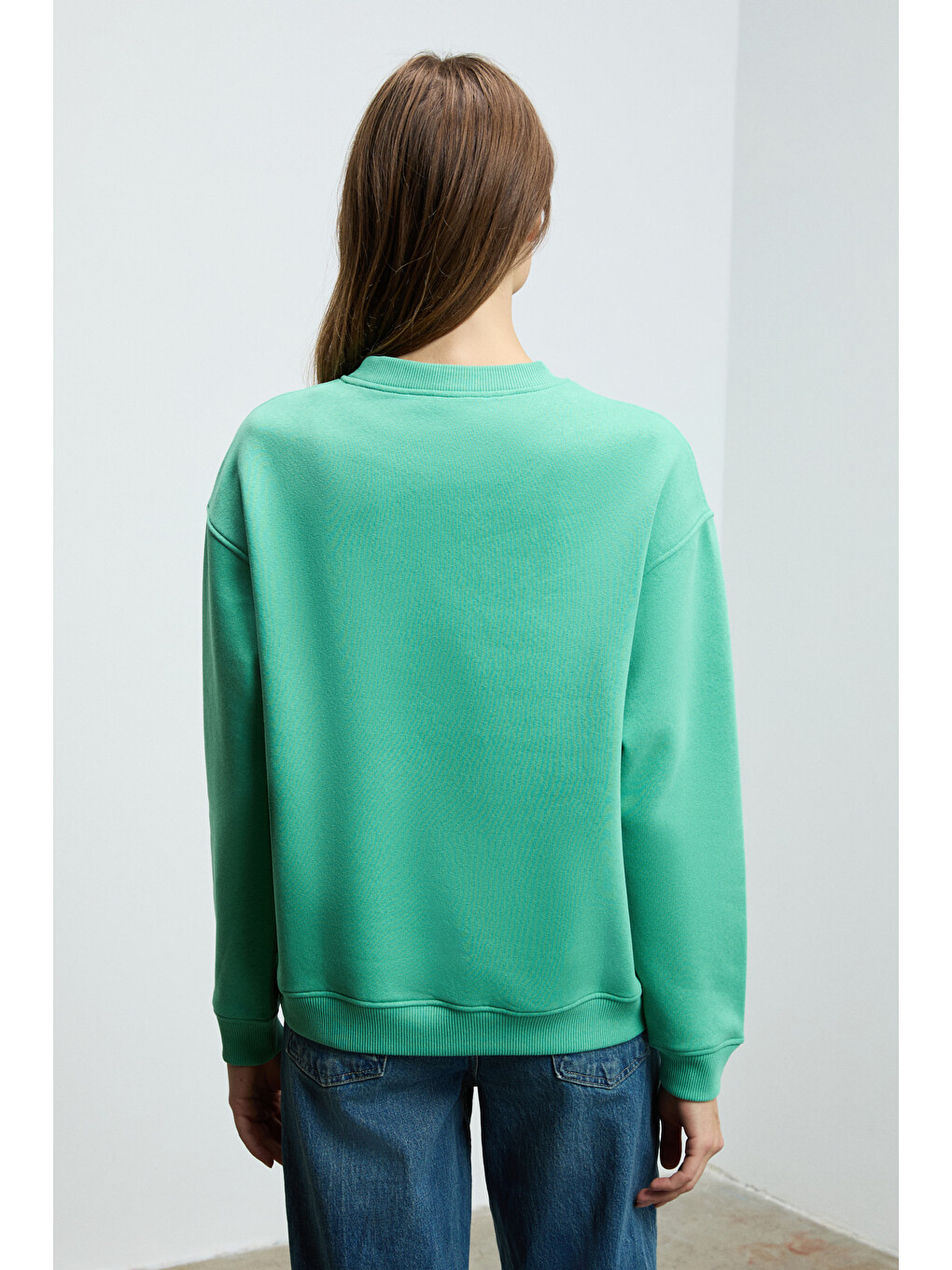 Susana Kadın Bisiklet Yaka İçi Polarlı Oversize Fit Basic Mint Yeşil Sweatshirt-4