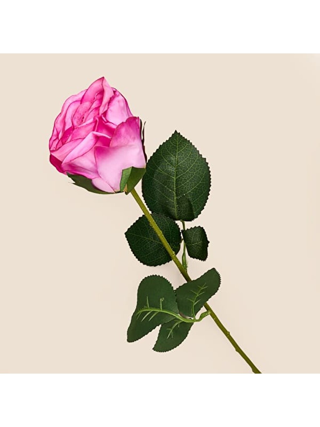 Deco Gül Yapay Dal Çiçek - Pembe - 68 cm-1