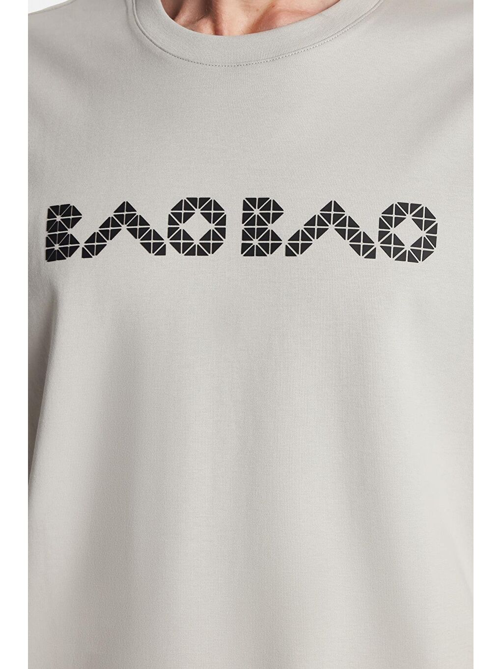 Bej Relax Fit Rahat Kesim Pamuklu Ön Ve Arka Baskı Detaylı Bisiklet Yaka Taş Erkek Tişört-2