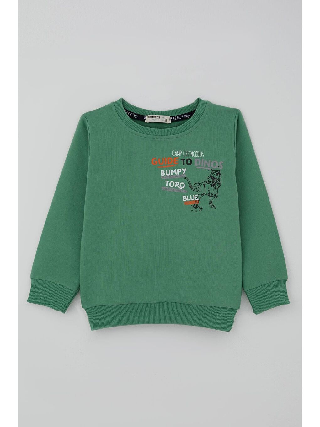 Erkek Çocuk Eşofman Takımı Dinozor Kampı Sırt Baskı Detaylı Mint Yeşili (2-6 Yaş)-1