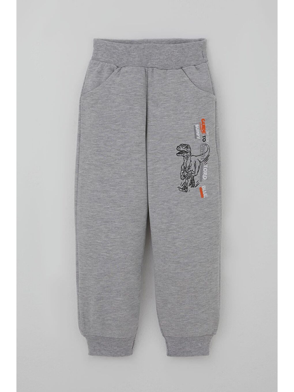 Erkek Çocuk Eşofman Takımı Dinozor Kampı Sırt Baskı Detaylı Mint Yeşili (2-6 Yaş)-2