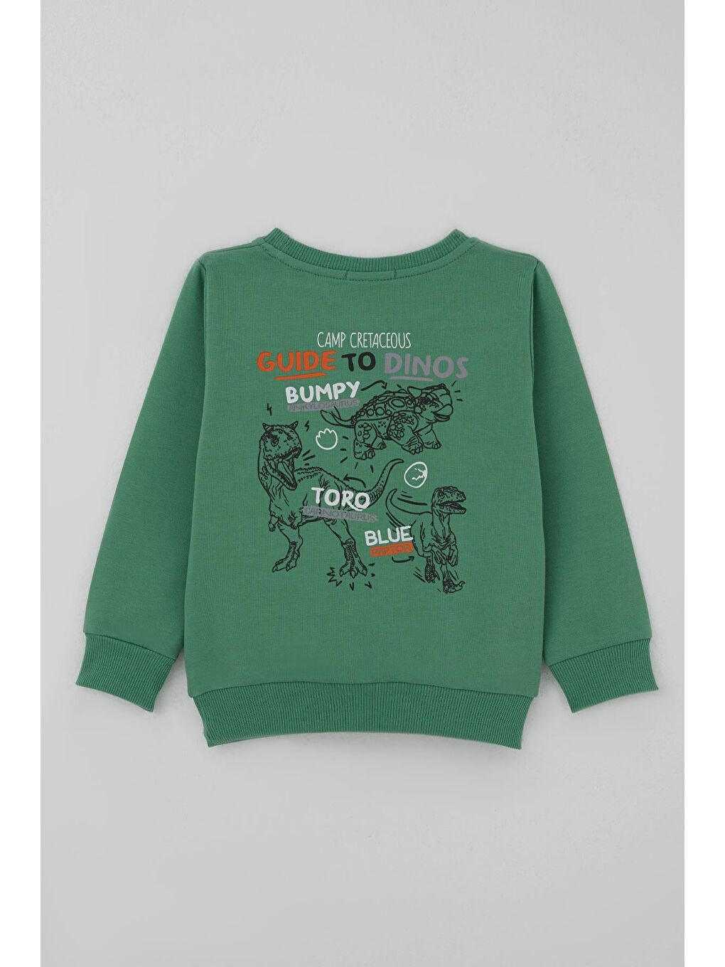 Erkek Çocuk Eşofman Takımı Dinozor Kampı Sırt Baskı Detaylı Mint Yeşili (2-6 Yaş)-3