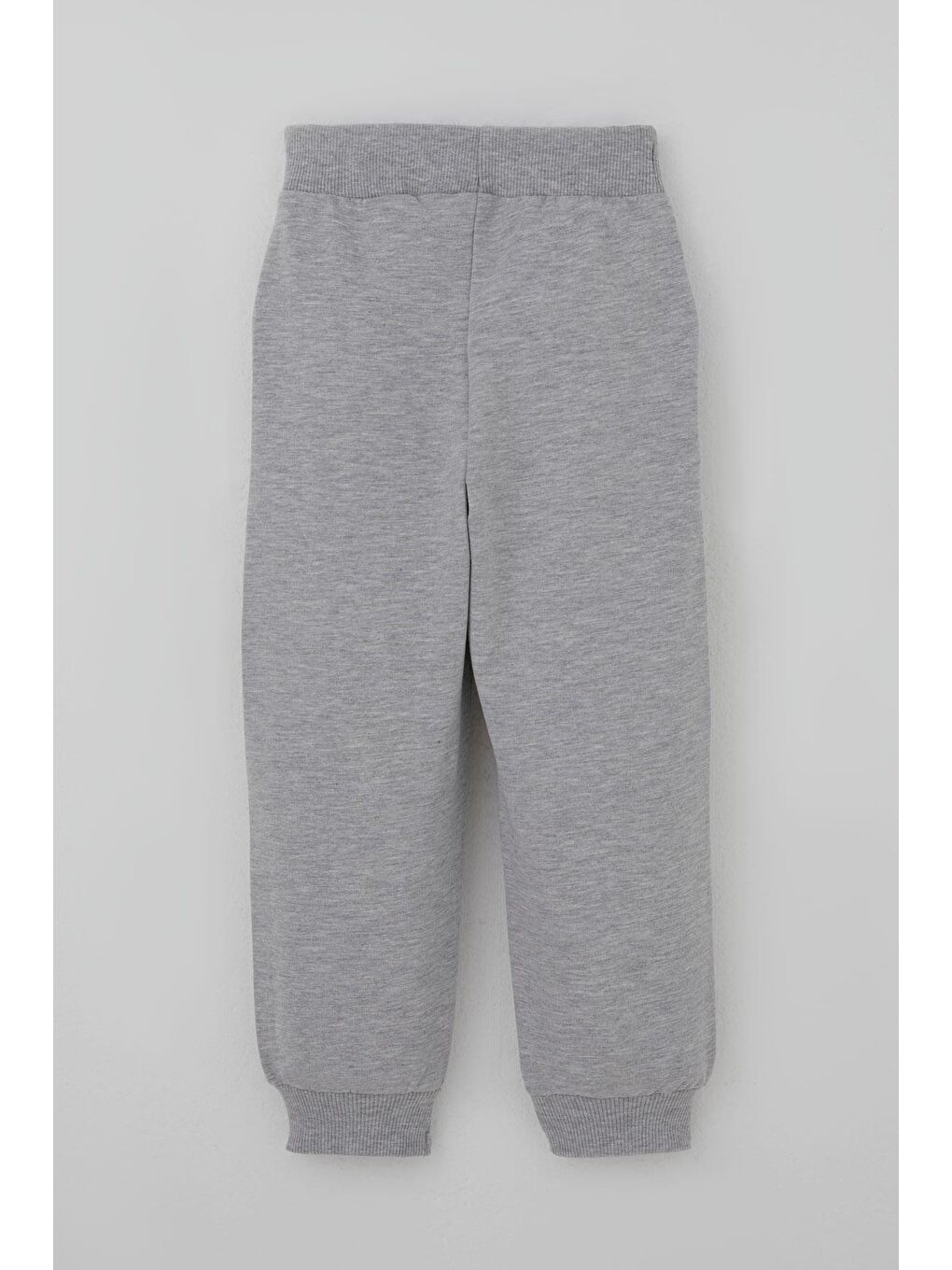 Erkek Çocuk Eşofman Takımı Dinozor Kampı Sırt Baskı Detaylı Mint Yeşili (2-6 Yaş)-4