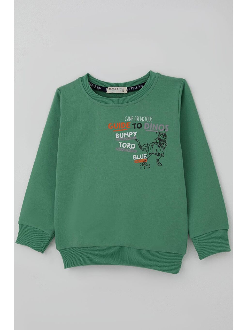 Erkek Çocuk Eşofman Takımı Dinozor Kampı Sırt Baskı Detaylı Mint Yeşili (2-6 Yaş)-5