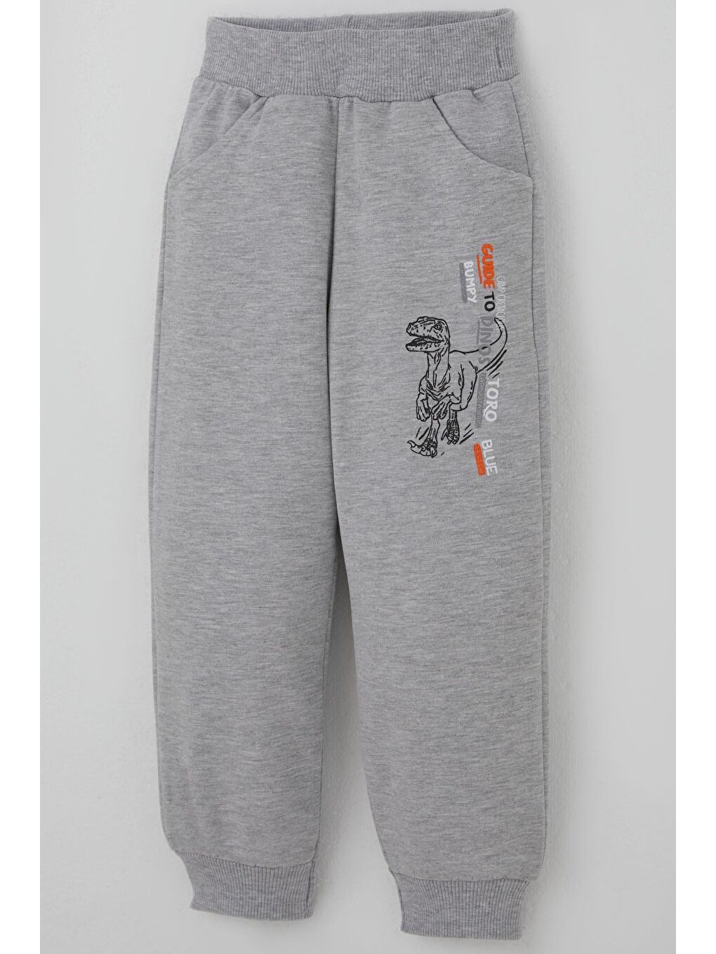 Erkek Çocuk Eşofman Takımı Dinozor Kampı Sırt Baskı Detaylı Mint Yeşili (2-6 Yaş)-6