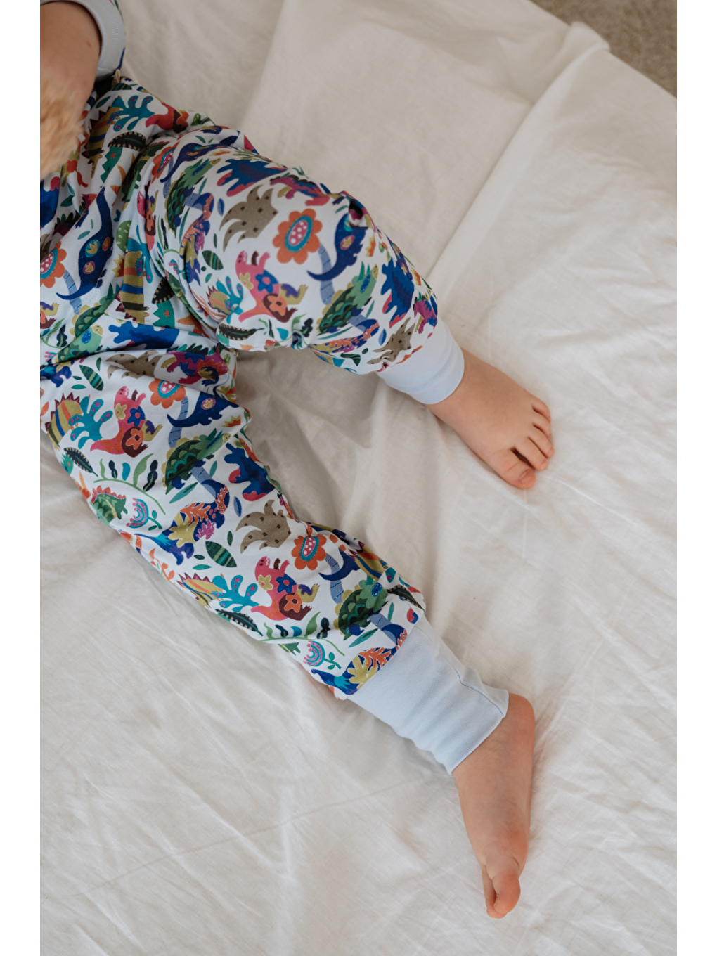 Mavi Dinozor Desenli Pijama Alt-1