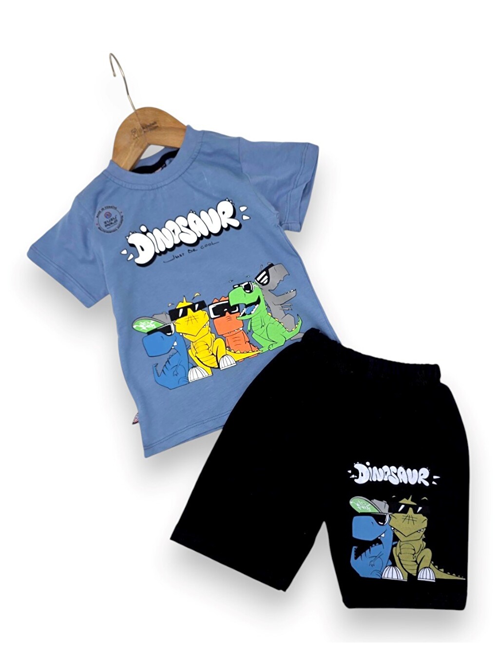 Mavi Erkek Bebek Yazlık Dinozor Baskılı T-shirt Şort 2'li Takım-2
