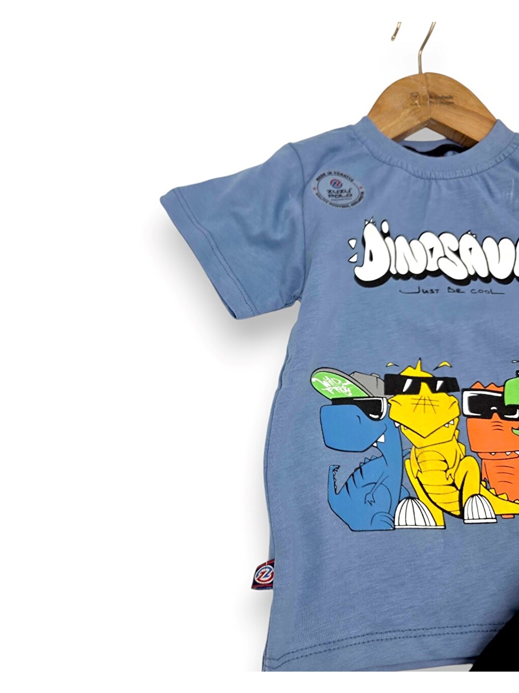 Mavi Erkek Bebek Yazlık Dinozor Baskılı T-shirt Şort 2'li Takım-3
