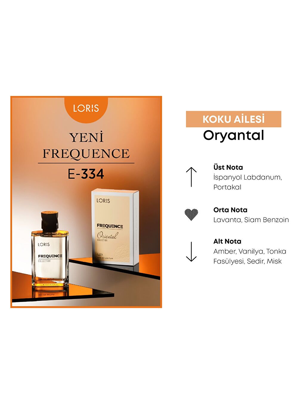 E-334 Frequence Erkek Parfüm EDP 50 ML-1