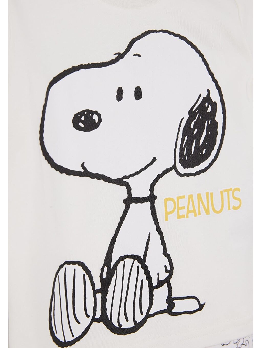 Ekru Snoopy Lisanslı Erkek Bebek Pijama Takımı 21938-1