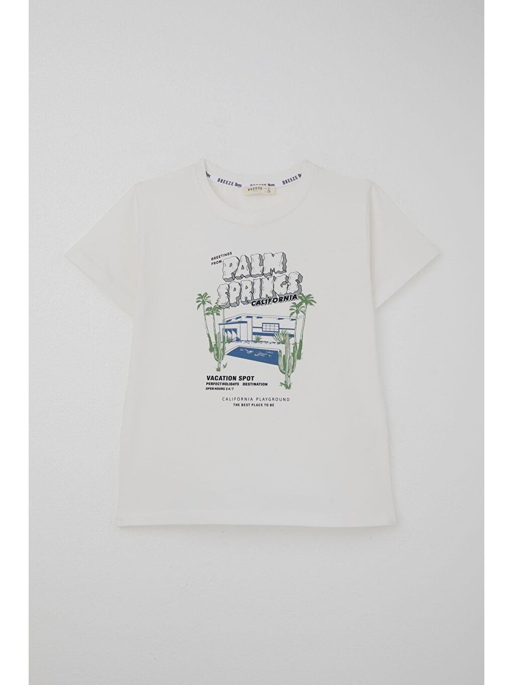 Erkek Çocuk Şortlu Takım Tatil Temalı Palmiye Ağacı Baskılı Beyaz (5-9 Yaş)-1