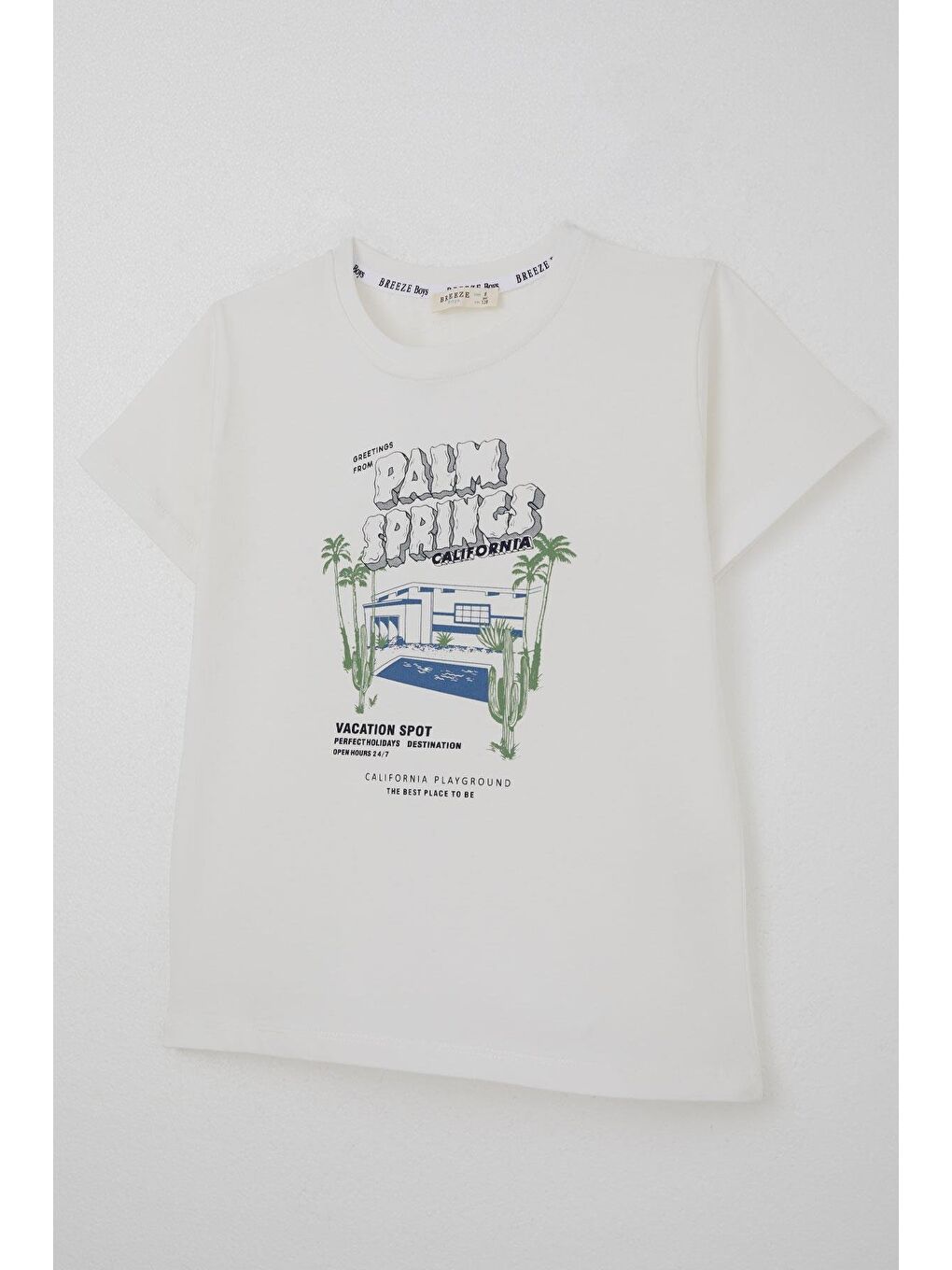 Erkek Çocuk Şortlu Takım Tatil Temalı Palmiye Ağacı Baskılı Beyaz (5-9 Yaş)-5