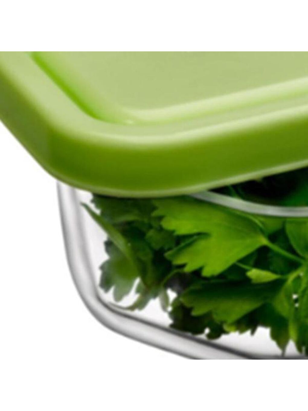 Yeşil 53223 Snowbox Saklama Kabı - 275 ml-1