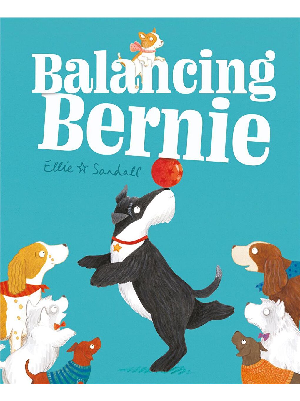 Balancing Bernie