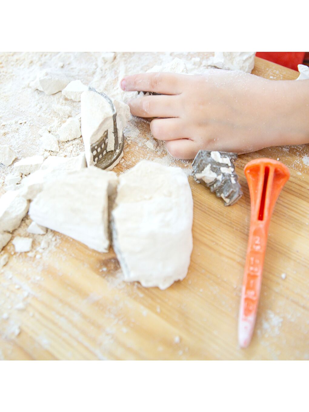 Dinosaur Park New Era Eğitici Kazı Seti-6