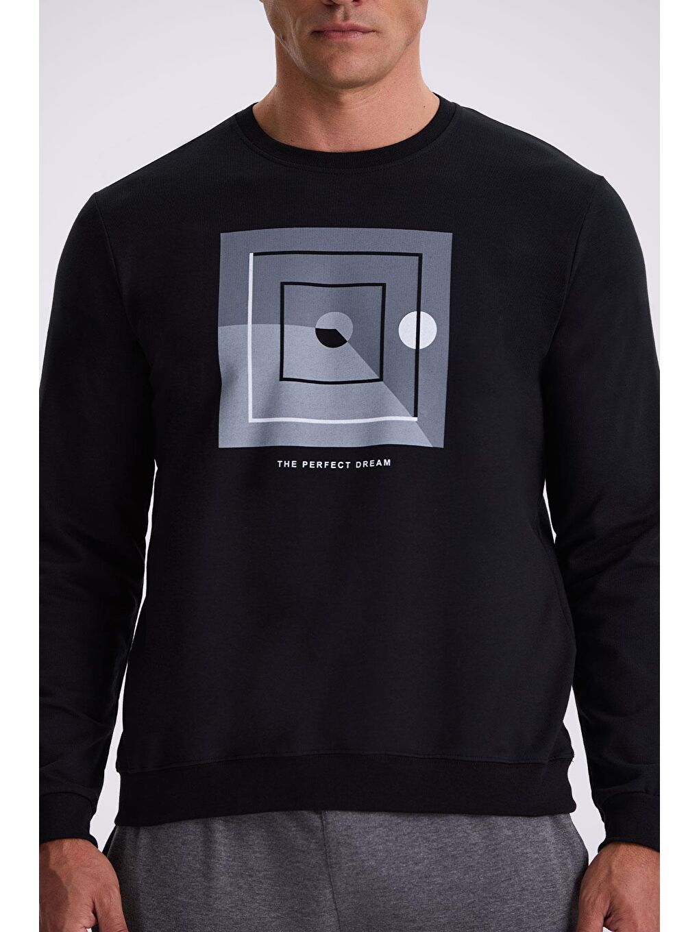 Siyah Slim Fit Bisiklet Yaka Baskılı %100 Pamuk Sweatshirt-2