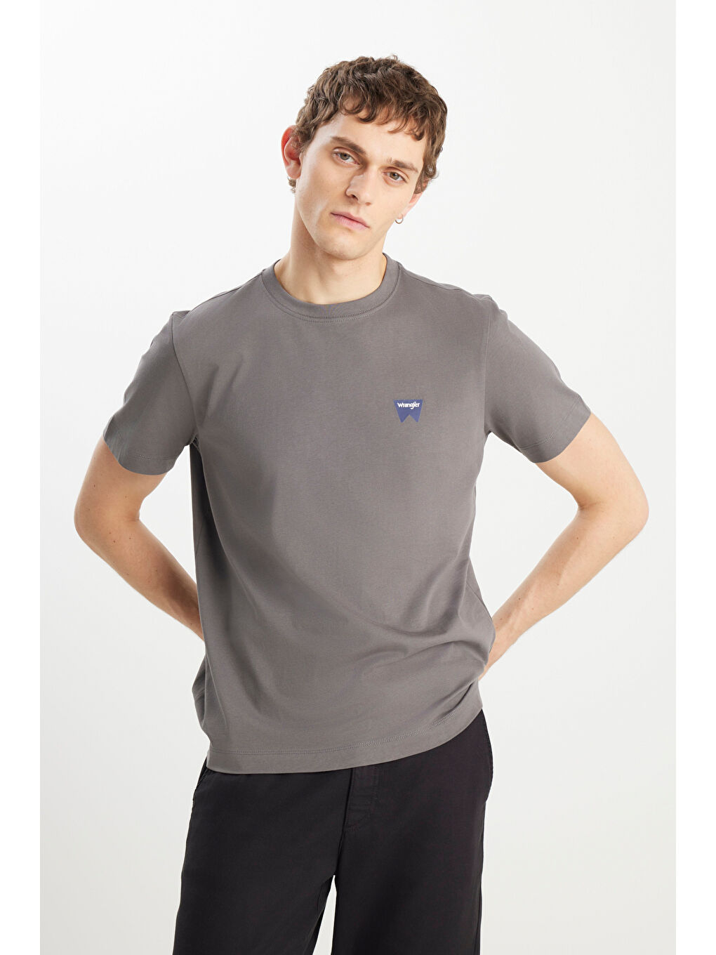 %100 Pamuk Regular Fit Normal Kesim Minimal Logo Antrasit Tişört