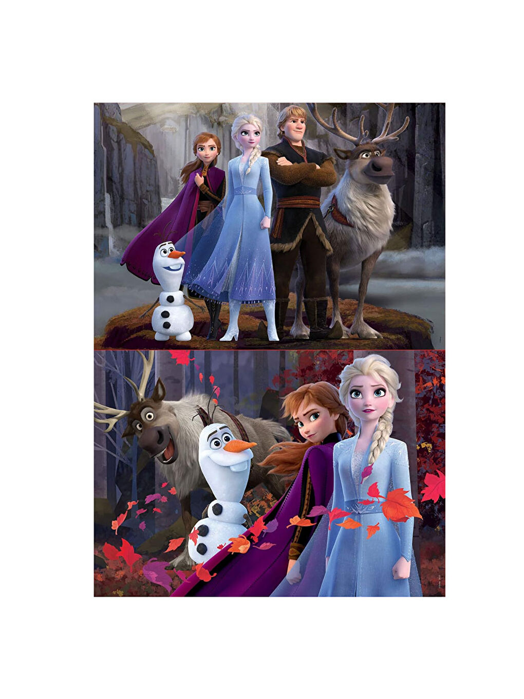 Puzzle 2x100Frozen2 18111-1